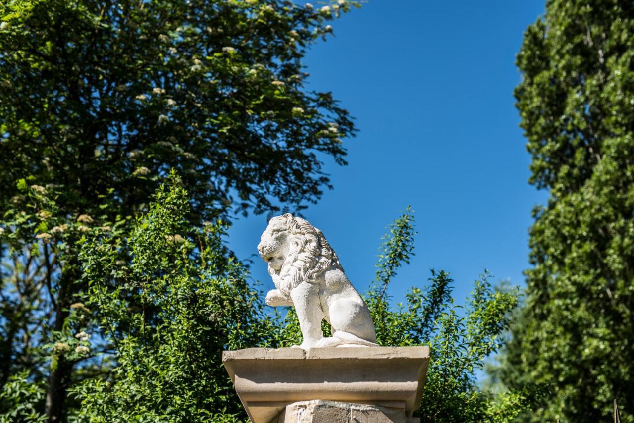 Le Manoir Des Marronniers 호텔 Sully  외부 사진
